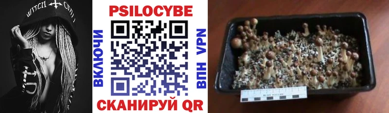 Галлюциногенные грибы GOLDEN TEACHER  Красноярск 